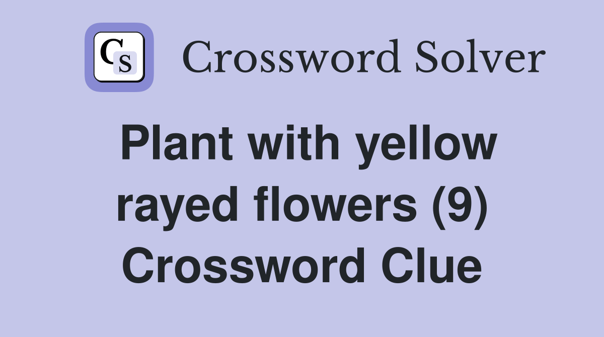 Plant with yellow rayed flowers (9) Crossword Clue Answers